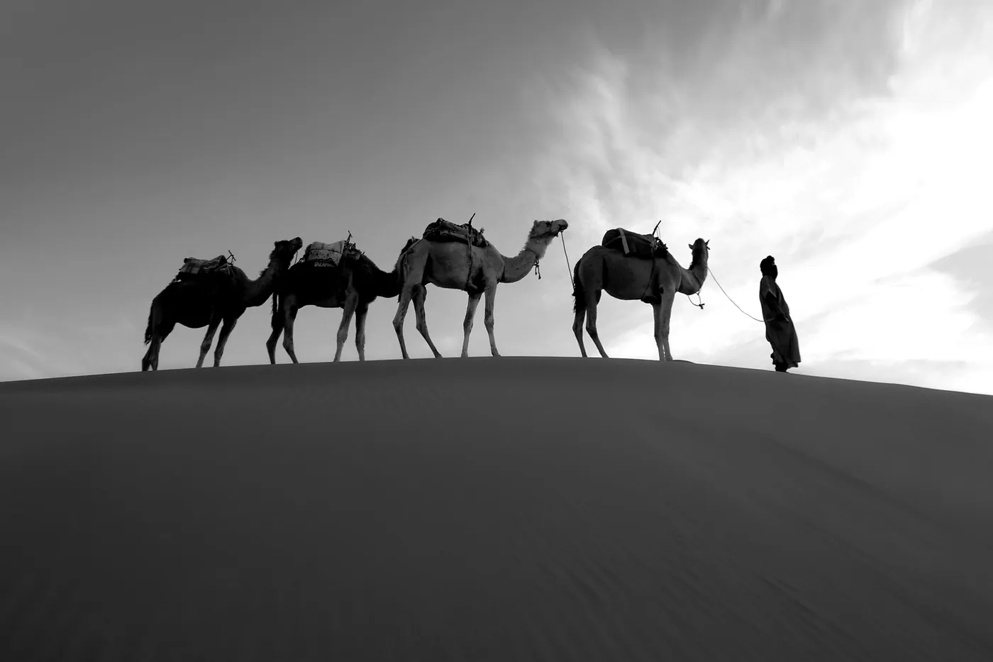 A desert camp caravan silhouetted against the dusk sky over the Erg Chebbi dunes