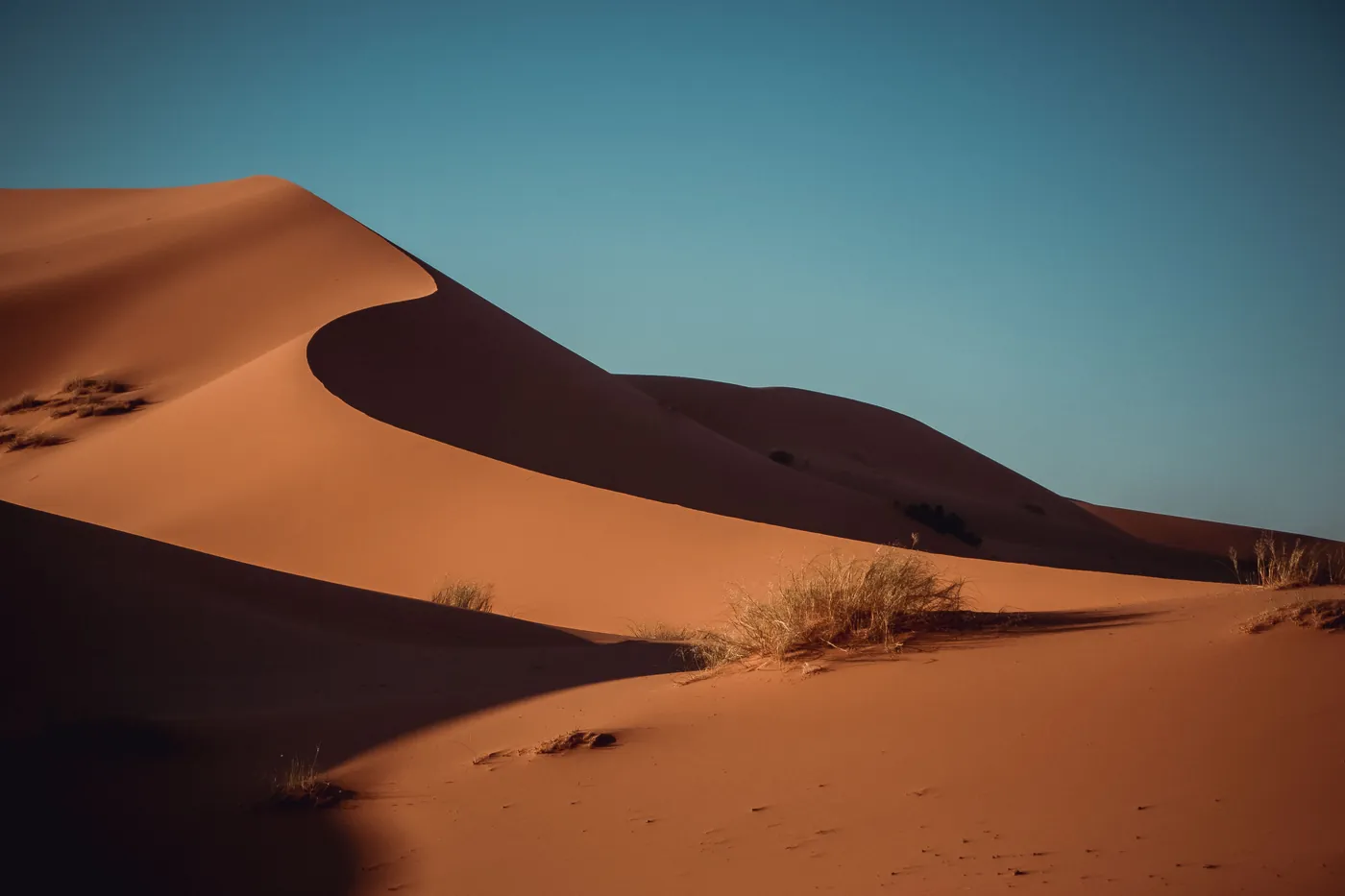 Sunset light over Sahara sand dunes near Merzouga, Morocco
