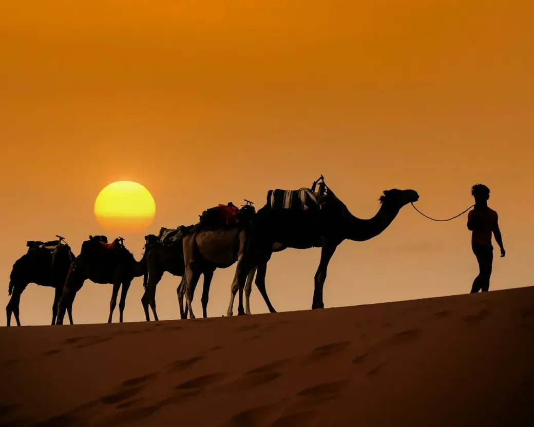 Sunset camel trek: a guide leads a camel caravan over a Sahara dune near Merzouga